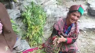 PART 2 Kasol Malana song while making Malana cream Magical Parvati Valley [upl. by Norreht753]