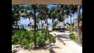 Mexico Vlog 2  Snorkeling With Turtles at Akumal Bay and a Beautiful Cenote [upl. by Mattias492]