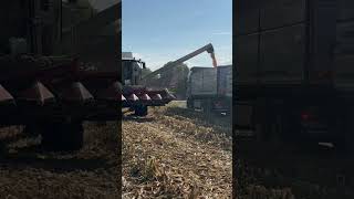 Volvo LKW mit Claas Tucano 450 🚜🌽 [upl. by Nnyled]