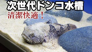 【ドンコ水槽立ち上げ】管理しやすい水槽とは？ 低床は珪砂【アクアリウム】 [upl. by Yadnil]