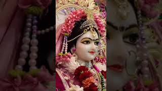 जय श्री राधे कृष्ण 🌺🌺radhakrishna pleasesubscribe motivation [upl. by Yrrat]