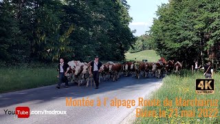 Montée à lalpage au Col du Marchairuz Bière le 21 mai 2022 [upl. by Attirb]