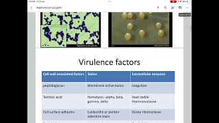 Virulence factors of staphylococcus aureus [upl. by Nored181]