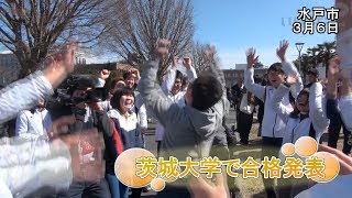 茨城大学、合格発表【いばキラニュース】H3037 [upl. by Refennej75]