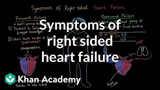 Symptoms of right sided heart failure  Circulatory System and Disease  NCLEXRN  Khan Academy [upl. by Selby249]