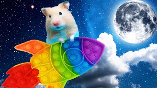 Epic Hamster Maze Adventure 🐹 Colorful Obstacles Escape to the Moon 🌕 [upl. by Anaya]