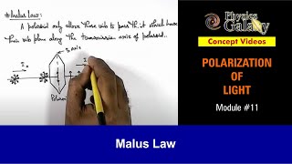 Class 12 Physics  Polarization of Light  11 Malus Law  For JEE amp NEET [upl. by Airod]