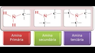 Aminas Concepto y Ejemplos [upl. by Brendin]