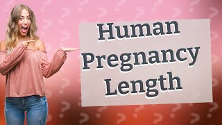 How long are humans pregnant [upl. by Yeltnerb13]