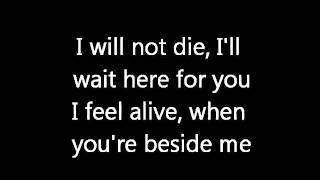 Three Days Grace  Time of Dying lyrics [upl. by Anyl799]