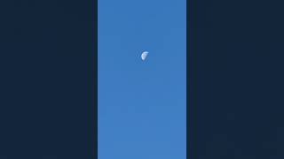 Quarter Moon or Half Moon [upl. by Ardin958]