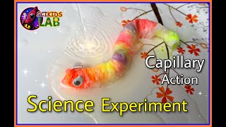 The very hungry caterpillar  CAPILLARY SCIENCE EXPERIMENT  Capillary ACTION of Water summer games [upl. by Agemo]