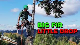 Removing A Huge 40quot Fir with a CRAZY BIG stump Backyard Fir Removal [upl. by Aliehs]