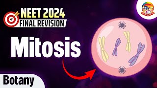 Mitosis  Cell Cycle and Cell Division  NEET Botany  NEET2024FinalRevision srichaitanyagosala [upl. by Aerdua]