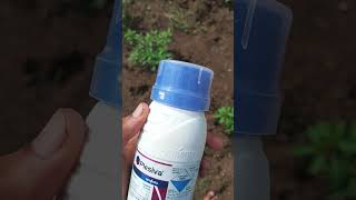 Plesiva syngenta insecticide spray [upl. by Llerret]