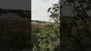 Orange garden in aventine  panorama view [upl. by Enomis827]