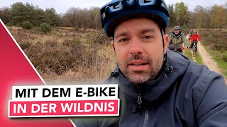 Frühlingstour im Nationalpark De Meinweg mit Time to eBike   50km EBike Tour [upl. by Torre]