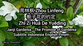 周林枫 Zhou Lin Feng  栀子花的约定 Janji Gardenia Subtitle Lyrics Indonesia English Pinyin [upl. by Anailli900]