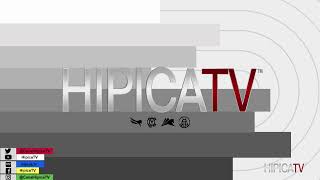 Hípica TV Livestream  Domingo 5 Febrero 2023 [upl. by Lleinnad]