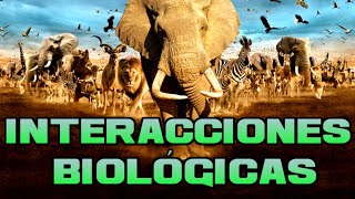 Relaciones e Interacciones entre seres vivos  depredación mutualismo comensalismo competencia [upl. by Terr]