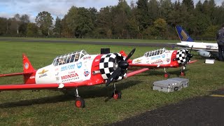 Radial Engine 2x AT6 RC Model Airplanes with a characteristic sound enjoy Hausen 2015 [upl. by Ojimmas261]