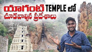 Which Places To See In Yaganti Temple  Day By Day Growing Yaganti Nandi  Nenu Mee Tsk [upl. by Pradeep62]