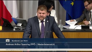 Andreas Arthur Spanring  Jugendkriminalität als Folge unkontrollierter Zuwanderung  542024 [upl. by Walls]