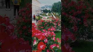 Taking a stroll in ROMANTIC MIRABELLGARTEN 🌹 salzburg mirabellgarten austria [upl. by Redlac]