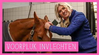 Voorpluk invlechten  PaardenpraatTV [upl. by Sorel312]