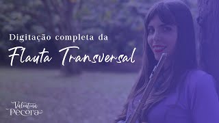 Todas as notas das 3 oitavas da Flauta Transversal [upl. by Nnylsaj]