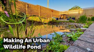 Making An Urban Wildlife Pond  Timelapse 4K [upl. by Hanikas651]