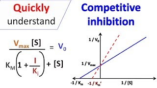 Competitive inhibition [upl. by Yorle718]