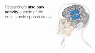 Auditory Illusion How the Brain Helps Us Understand Spoken Words in Noisy Settings [upl. by Waly487]