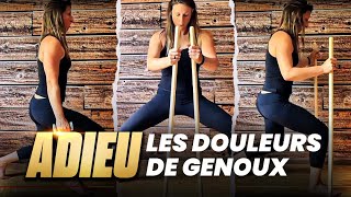 🦵RENFORCEMENT MUSCULAIRE adapté GENOU douloureux avec progressions [upl. by Obrien]