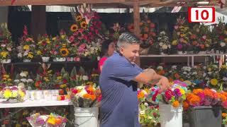 Floristas de Quintana Roo ven notable incremento de ventas [upl. by Muhcan59]