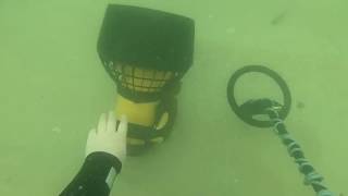 Diver Attacked Underwater [upl. by Darnell996]