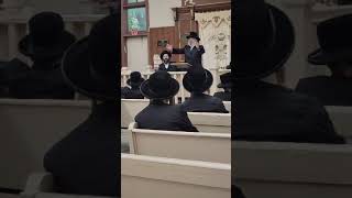 rabbi jungreis shlita at the woodbourne shul 2024 [upl. by Sykleb]