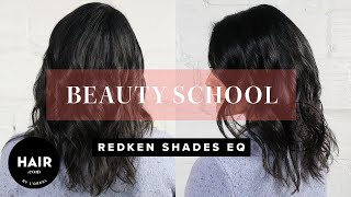 Change Your Hair Color Every Season W Redken Shades EQ Gloss  Beauty School  Haircom By LOreal [upl. by Urita]