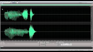 Adobe Audition CS55 Left  Right Channel Select [upl. by Norvall61]