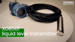 XDB501 Level Transmitter Precision and Stability Explained [upl. by Nwahc]