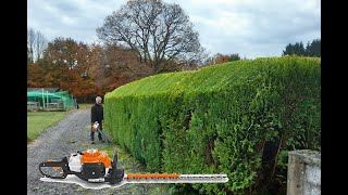 Taille de thuyas Juin 2022  Stihl HS82R amp KM130R [upl. by Aleahc]