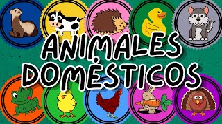 ANIMALES DOMÉSTICOS  ¿QUÉ SON  EJEMPLOS [upl. by Kroy]