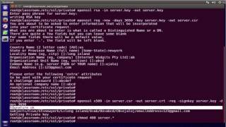 Create a Self Signed SSL Certificate for Nginx Web Server On Linux [upl. by Asiulana]