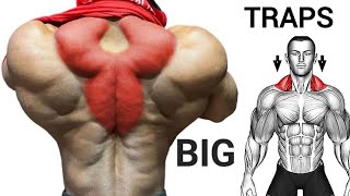 TRAPEZIUS workout  Best Exercise Traps TOP 5 [upl. by Jain]