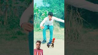 Monster 👹 video comedy funny greenscreen video TikTok green [upl. by Ehrsam]