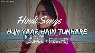 Hum Pyaar Hai Tumhare  Haan Maine Bhi Pyaar Kiya  Kumar SanuAlka Yagnik  2024 SlowedReverb [upl. by Marcille505]