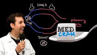 Shunting Explained Clearly Pulmonary Shunt [upl. by Ameh302]