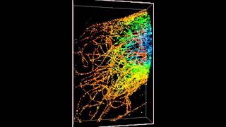 ZEISS ELYRA 3DPALM of microtubules 6 micron multiplane [upl. by Risser]