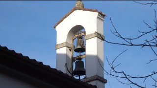 Le campane della vecchia chiesa di San Domenico a UDINE ÙDIN [upl. by Madge]