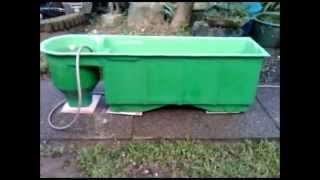 MADE Filter Module Aquaponics Philippines Vortex Test [upl. by Cirtemed]